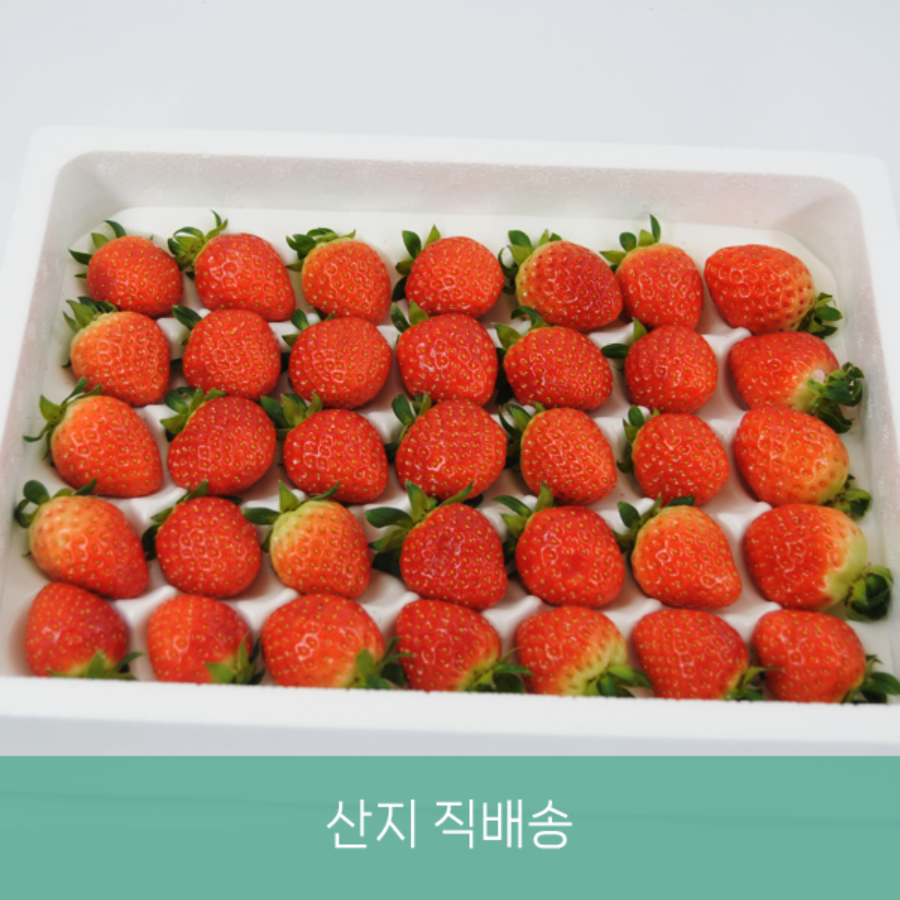무농약 설향 딸기 650g(35과 내외, 중품)