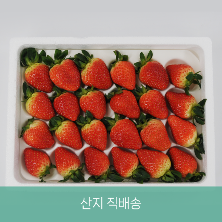 무농약 설향 딸기850g(24과 내외, 특품)